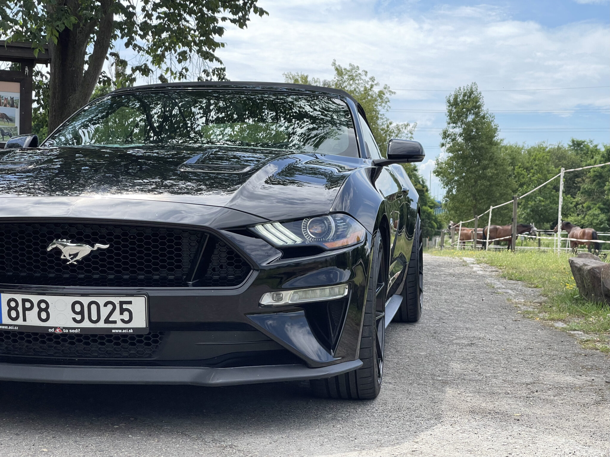 Mustang cabriolet